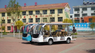 La Chine bonne voiture de tourisme de onze sièges classique avec clignotant antipoussière étanche